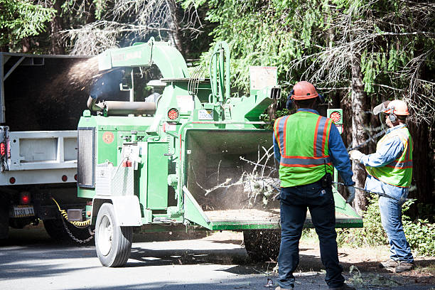 Lawn Maintenance Plans in Carmel Valley Village, CA